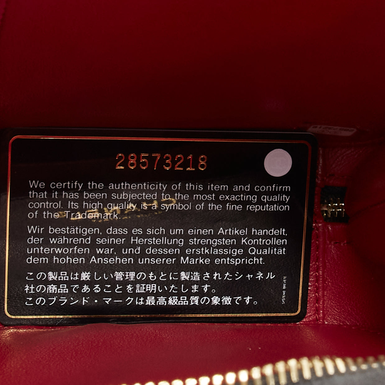 Chanel N/S Vanity Vertical - Image 13