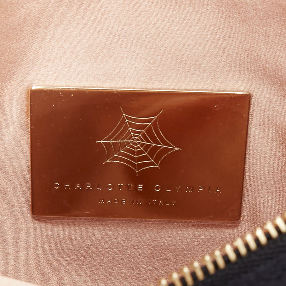 Charlotte Olympia Woven Zip Pouch - Image 11