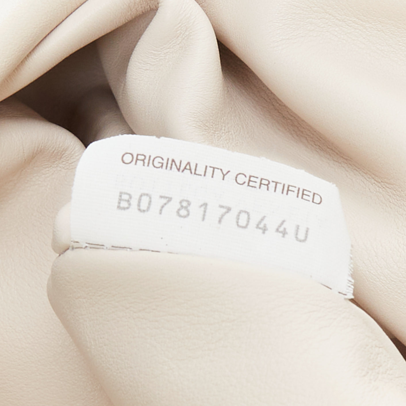 Bottega Veneta Pouch - Image 13