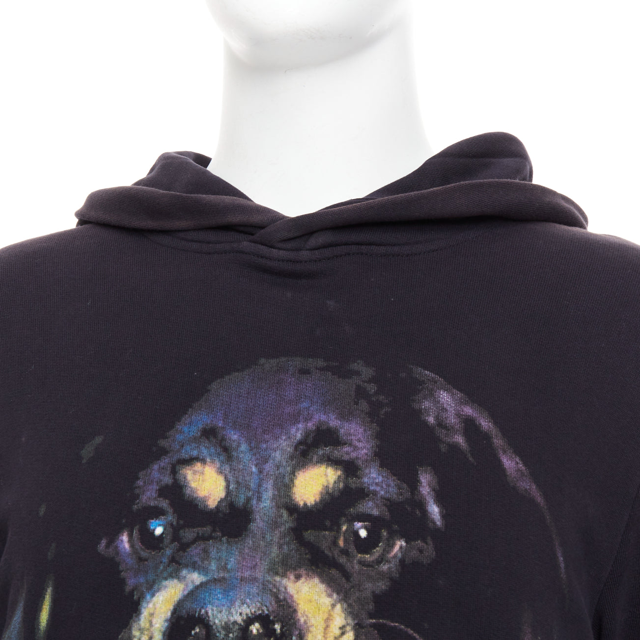 Givenchy Rottweiler Hoodie - Back view