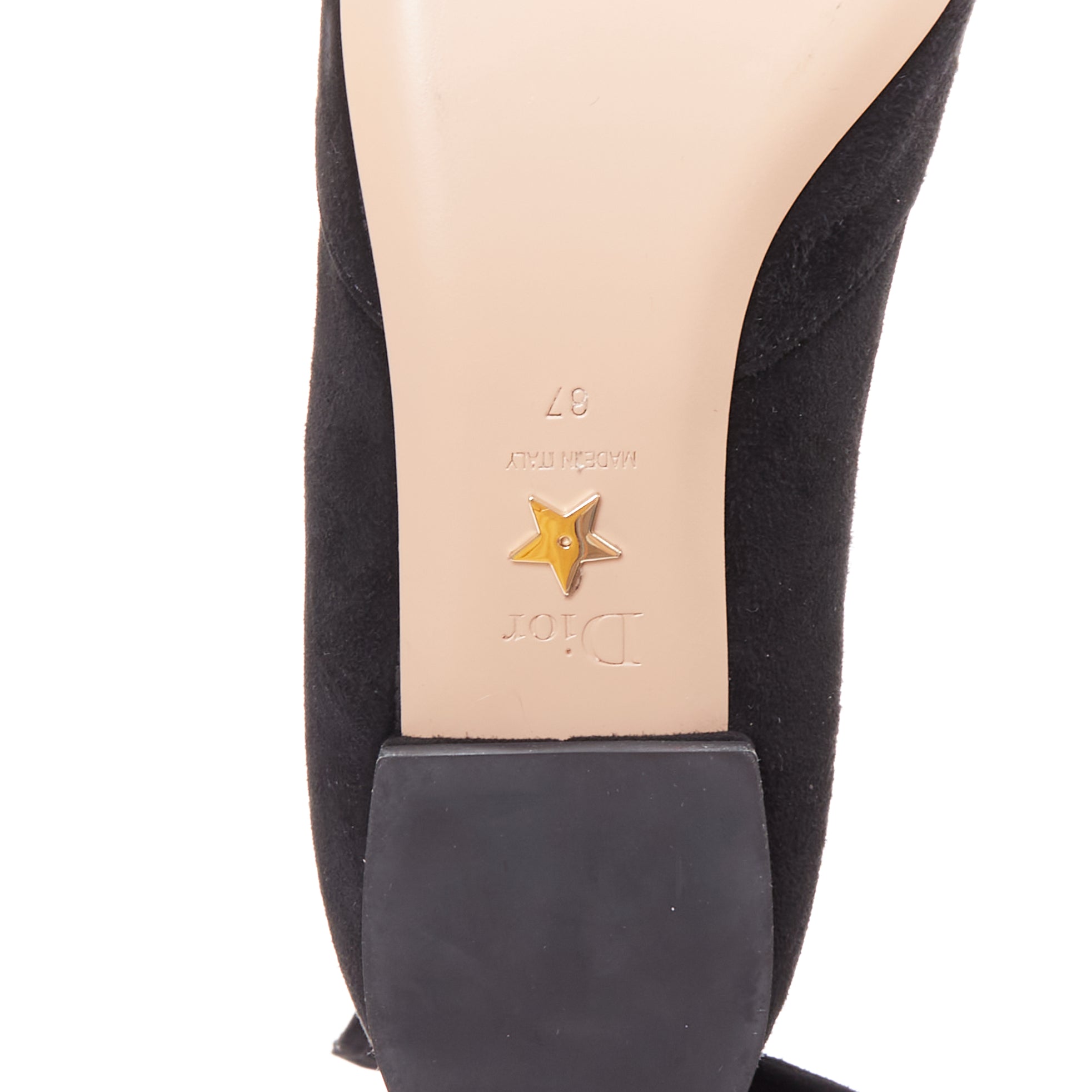 Dior Dior La Belle D Ballet Pump - Image 12