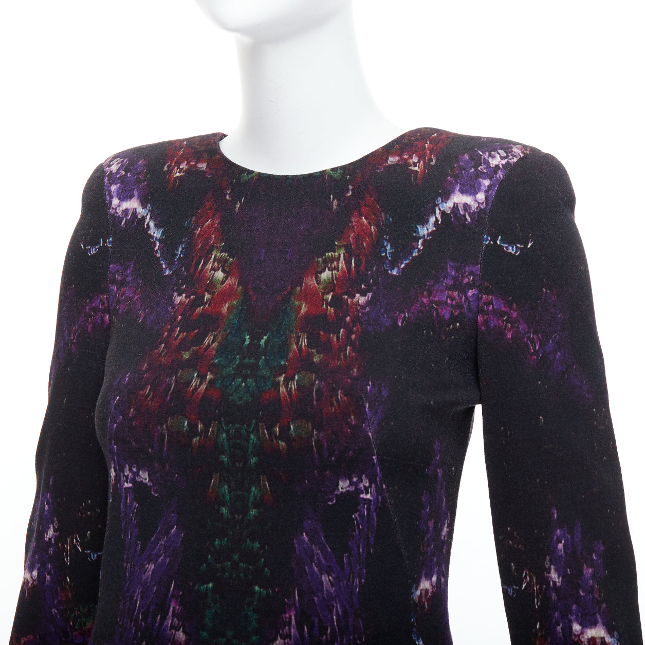 Alexander Mcqueen Feather Print Dress - Back view