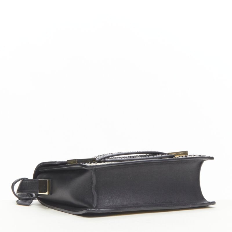 Delvaux Cagole XS Bag - Detail 1