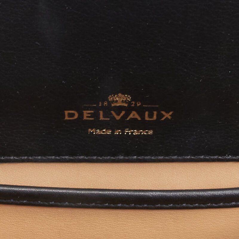 Delvaux Cagole XS Bag - Image 12
