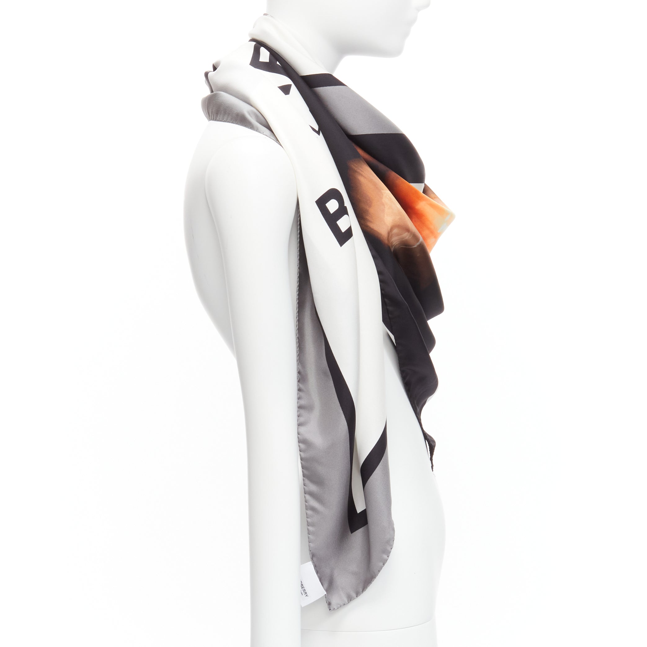 Burberry Unicorn Print Scarf - 4