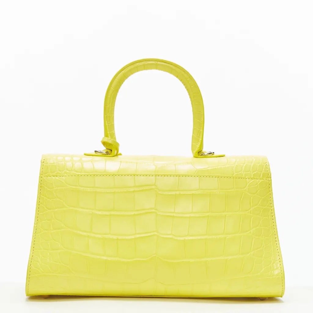 Delvaux Tempete Papillon Bag Yellow Leather Never worn - Box View