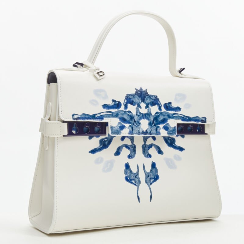 Delvaux Peekaboo PVC Bag - Image 6