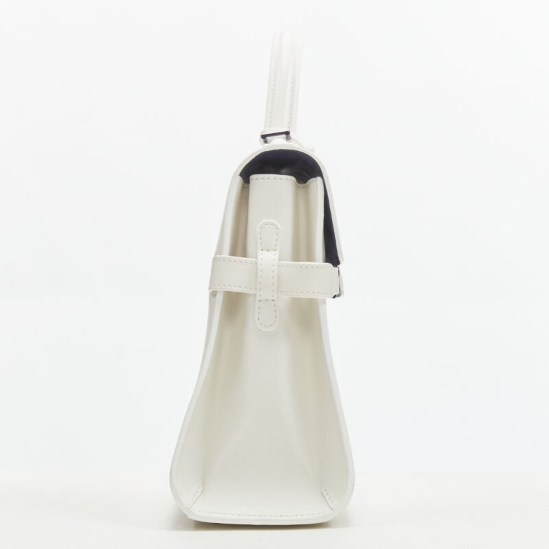 Delvaux Peekaboo PVC Bag - 4