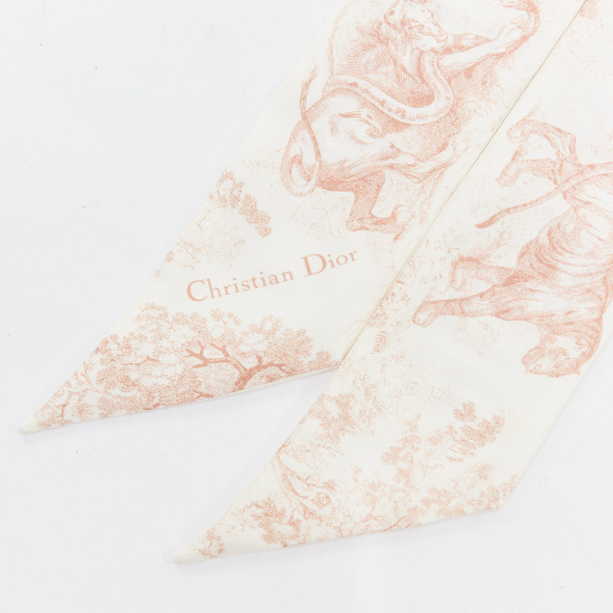 Dior Toile De Jouy Sauvage Mitzah - 4
