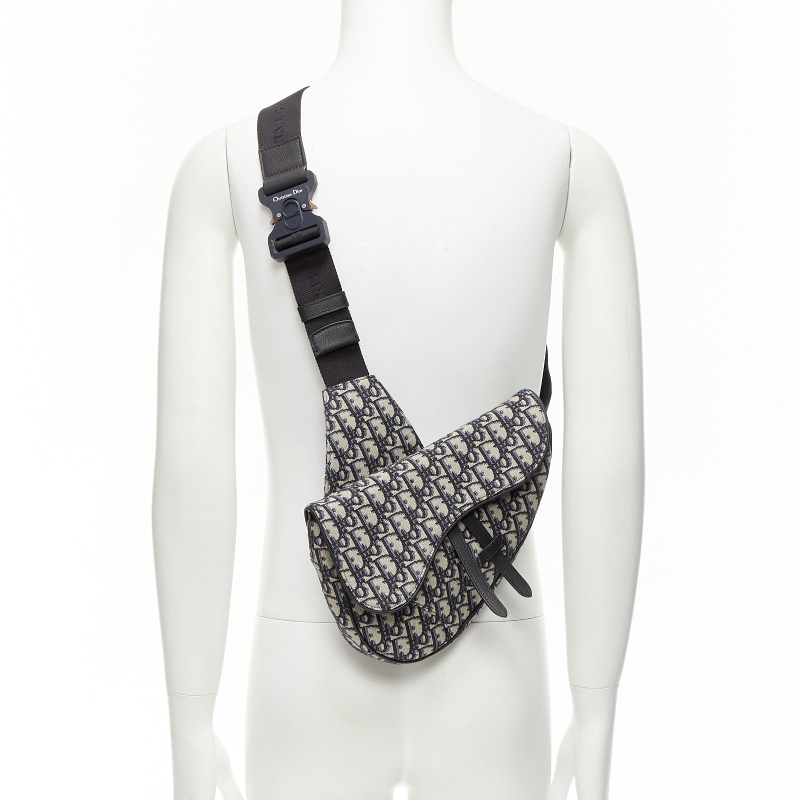 Dior Saddle - Back view