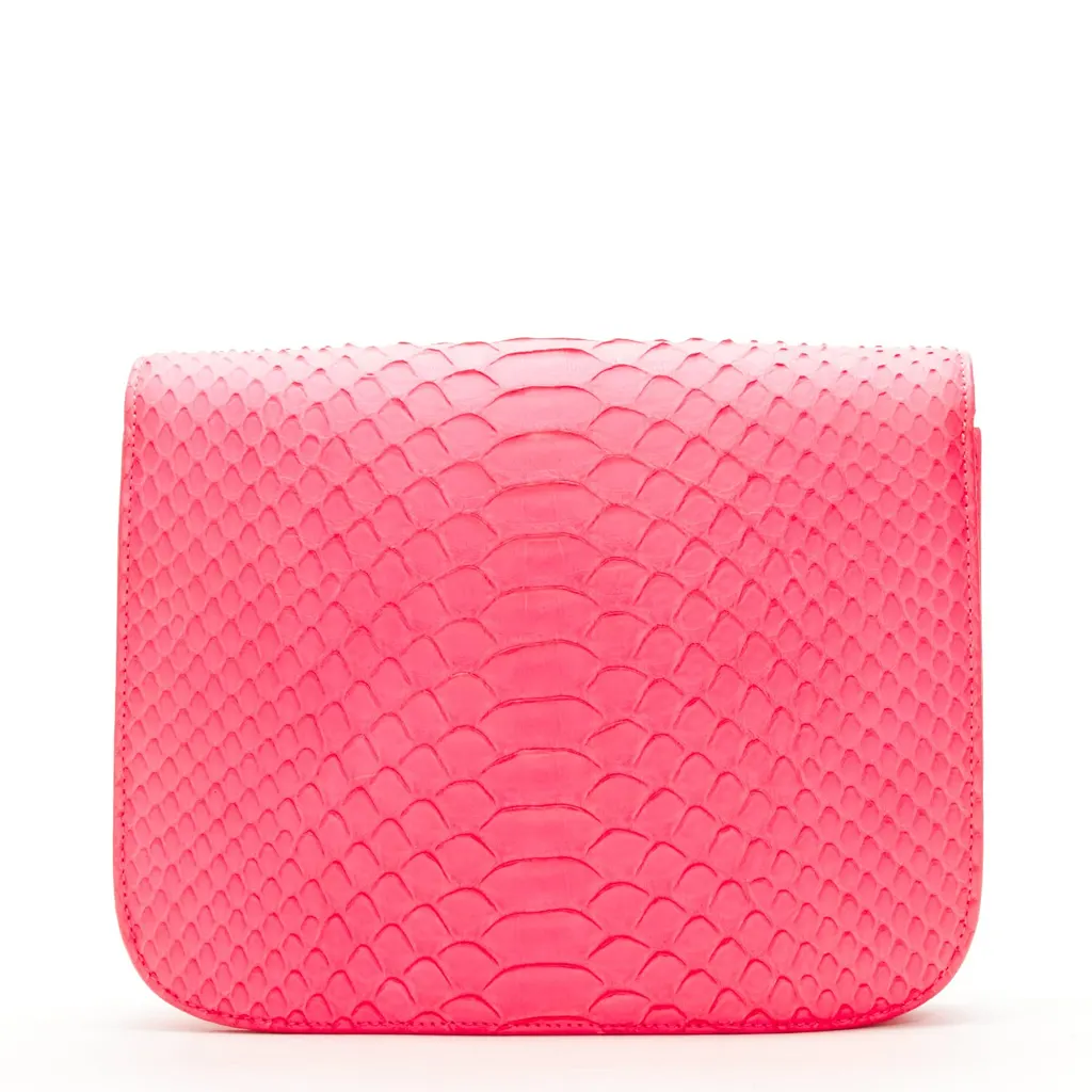 Celine Neon Classic Box Bag Pink Leather Very good - Model View