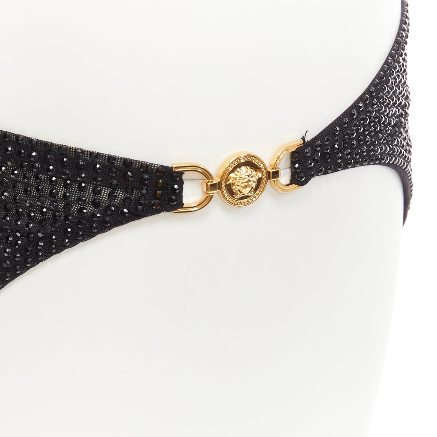 Versace Crystal Bikini Pants - Back view