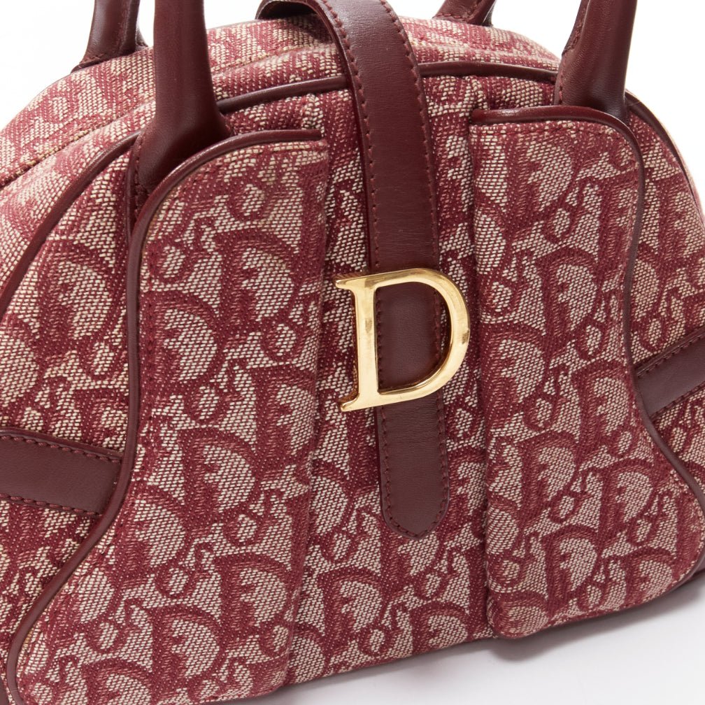 Christian Dior Double Saddle - Detail 2