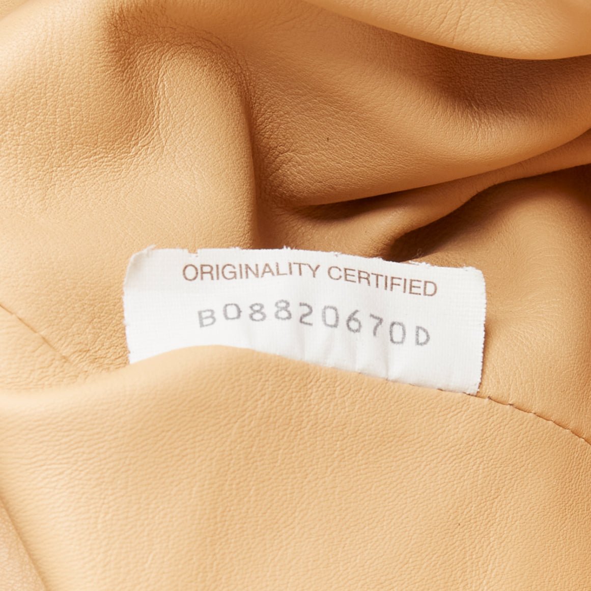 Bottega Veneta The Pouch - Image 13