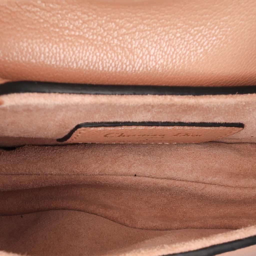 Dior Micro Goatskin Saddle - 4