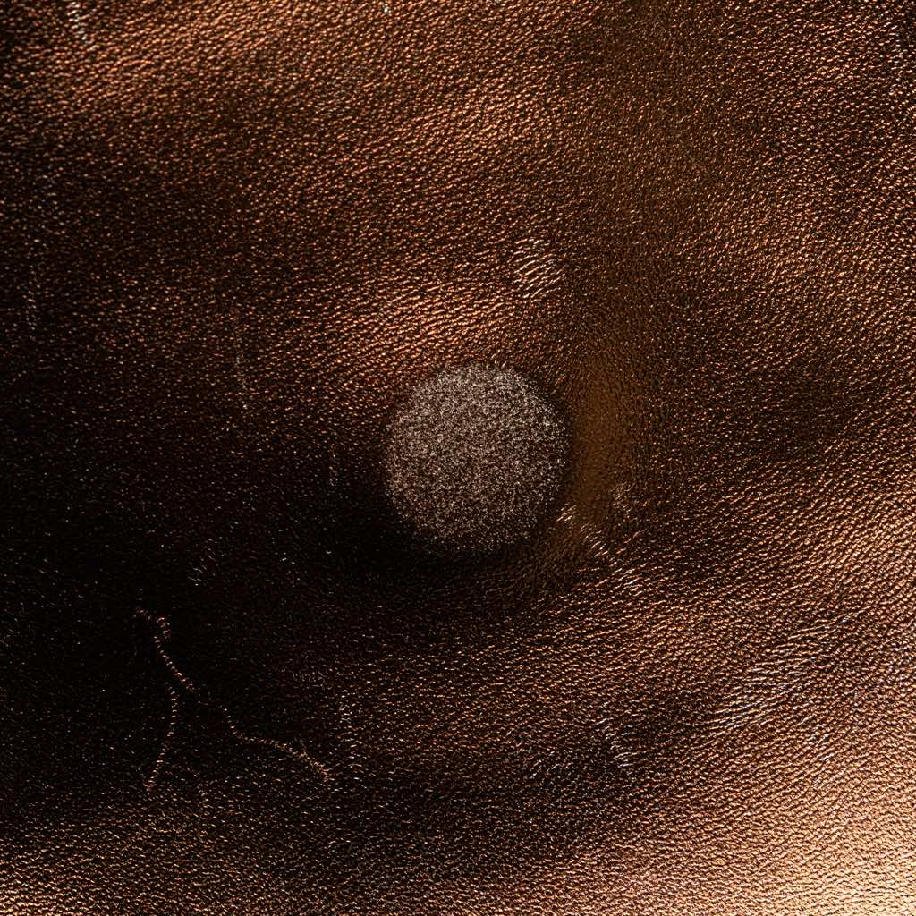 Chanel Metallic Lambskin Flap Crossbody - Image 12