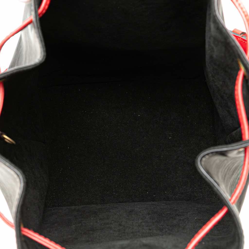 Louis Vuitton Epi Bicolor Noe GM - 4