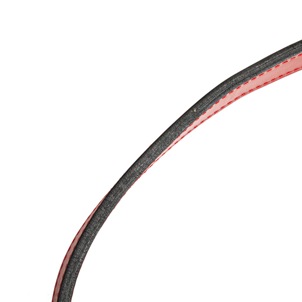 Louis Vuitton Epi Bicolor Noe GM - Image 11