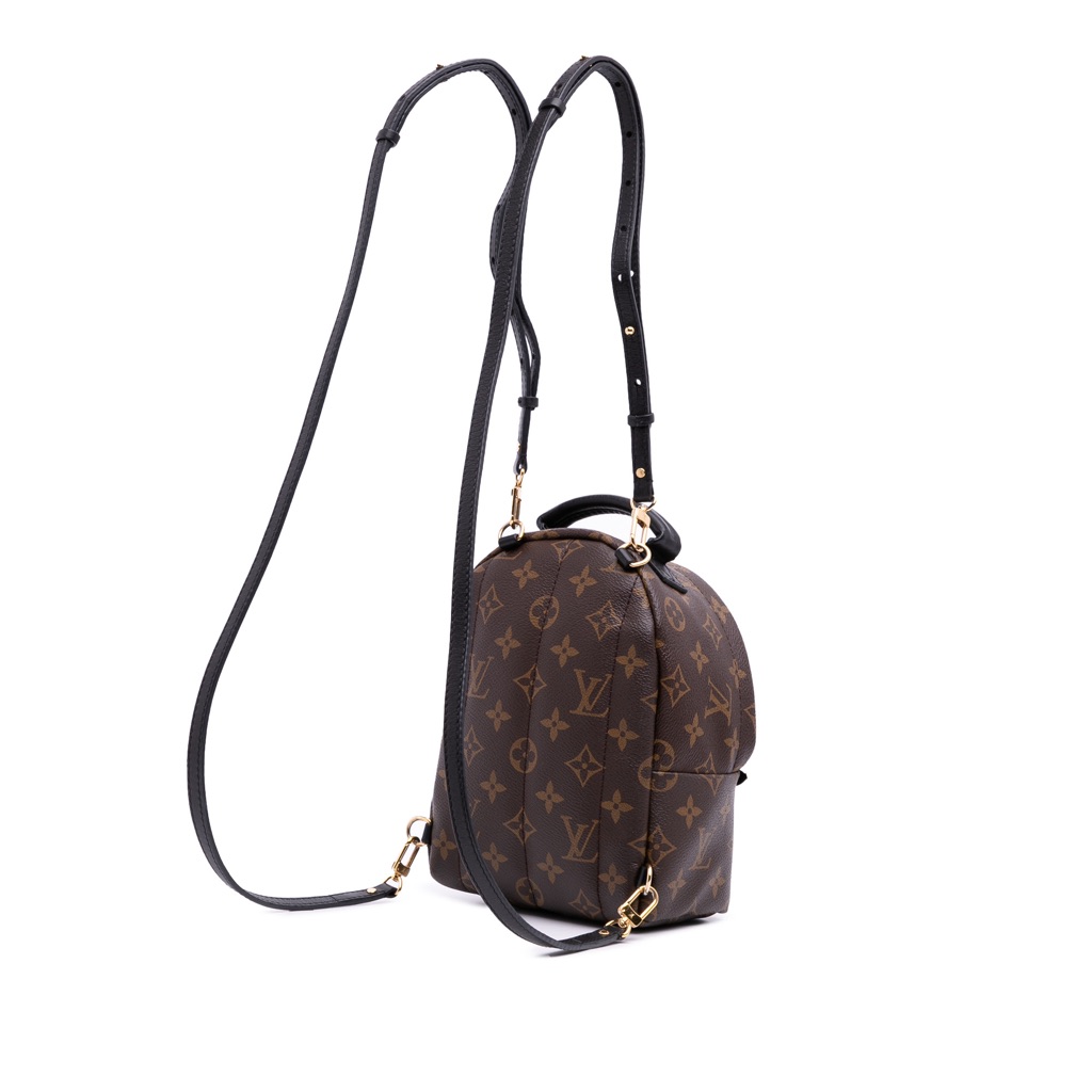 Louis Vuitton Monogram Mini Palm Springs - 2