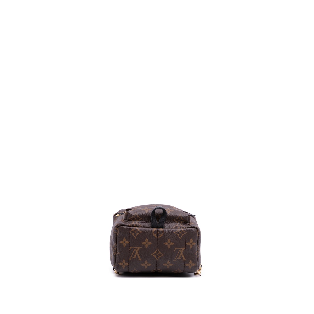 Louis Vuitton Monogram Mini Palm Springs - 3