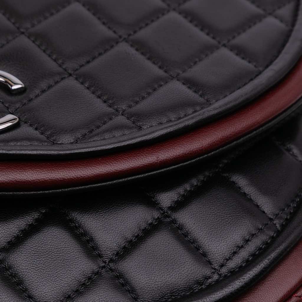 Chanel Bicolor Quilted Lambskin Twist Crescent Flap - Image 10