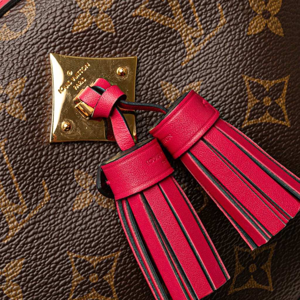 Louis Vuitton Monogram Saintonge - Detail 1