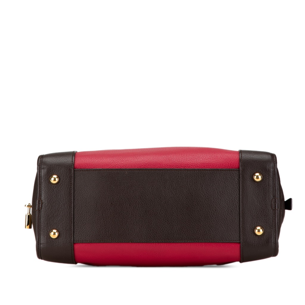 Loewe Tricolor Leather Amazona 36 - 3