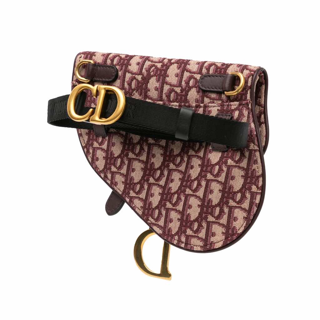 Dior Oblique Saddle Belt Bag - 2