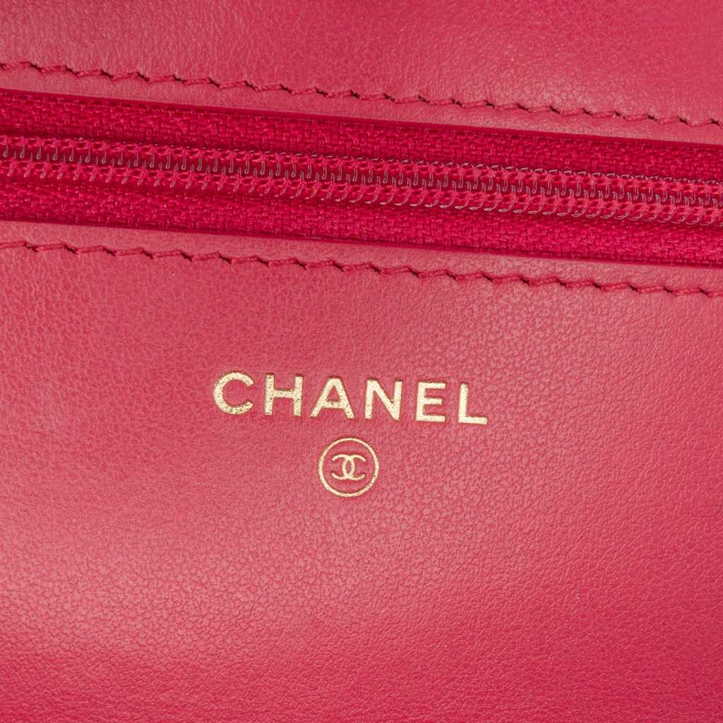 Chanel Quilted Lambskin 19 Wallet on Chain - 5