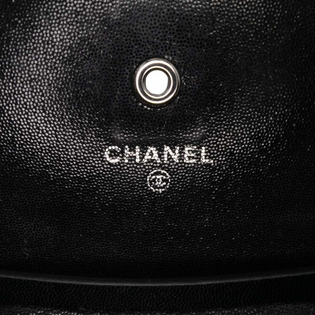 Chanel Sequined Goatskin CC Crystal Wallet On Chain - 5