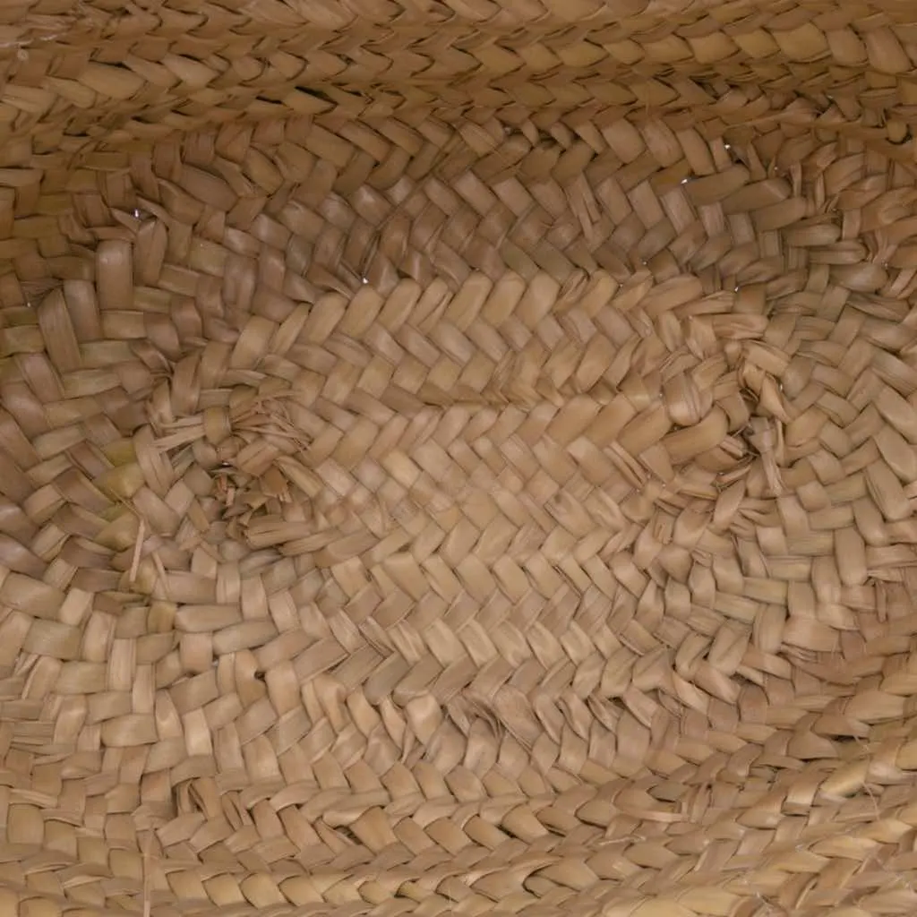 Loewe Small Raffia Basket Tote Brown Good - Model View