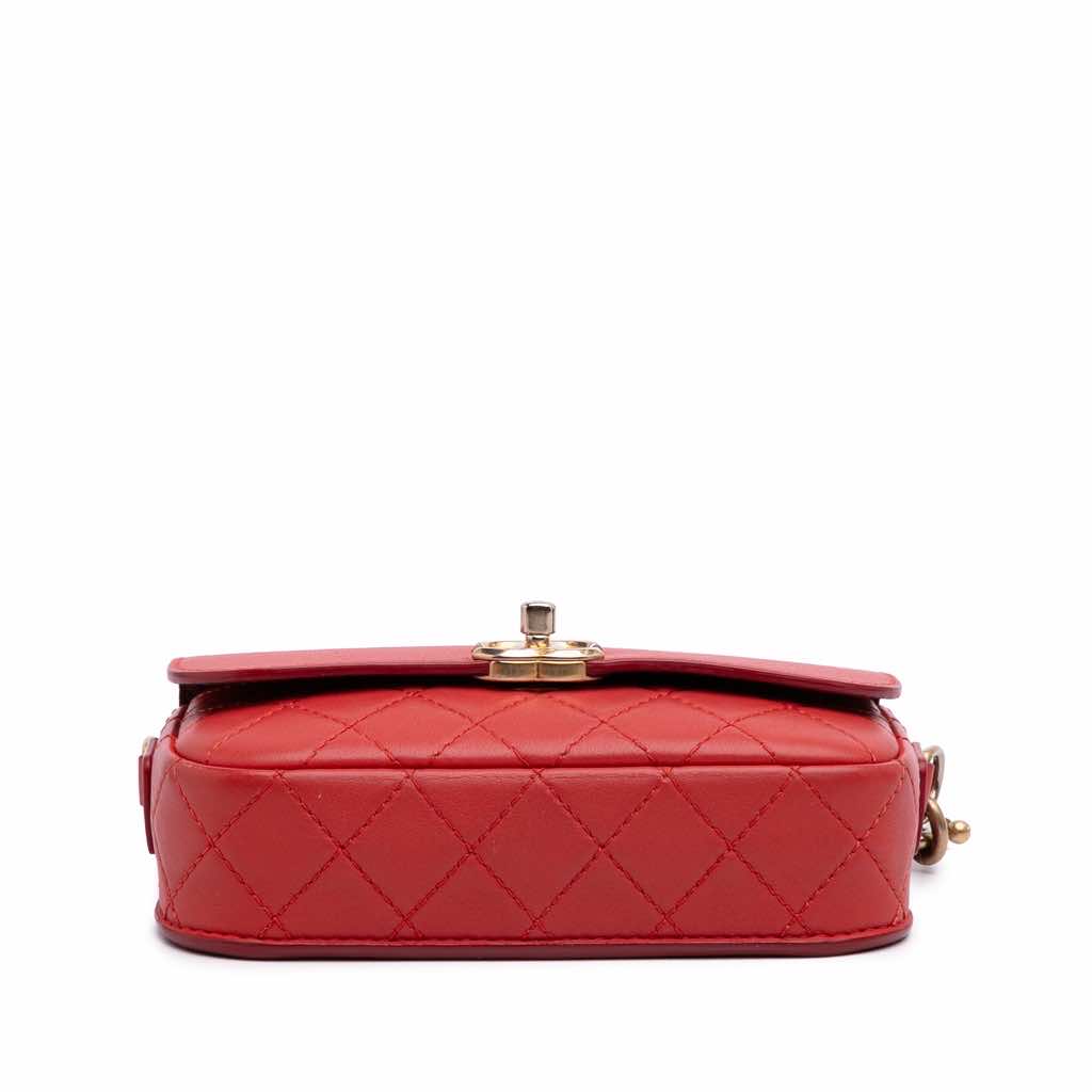 Chanel Quilted Calfskin Multi Pouching Flap - 3