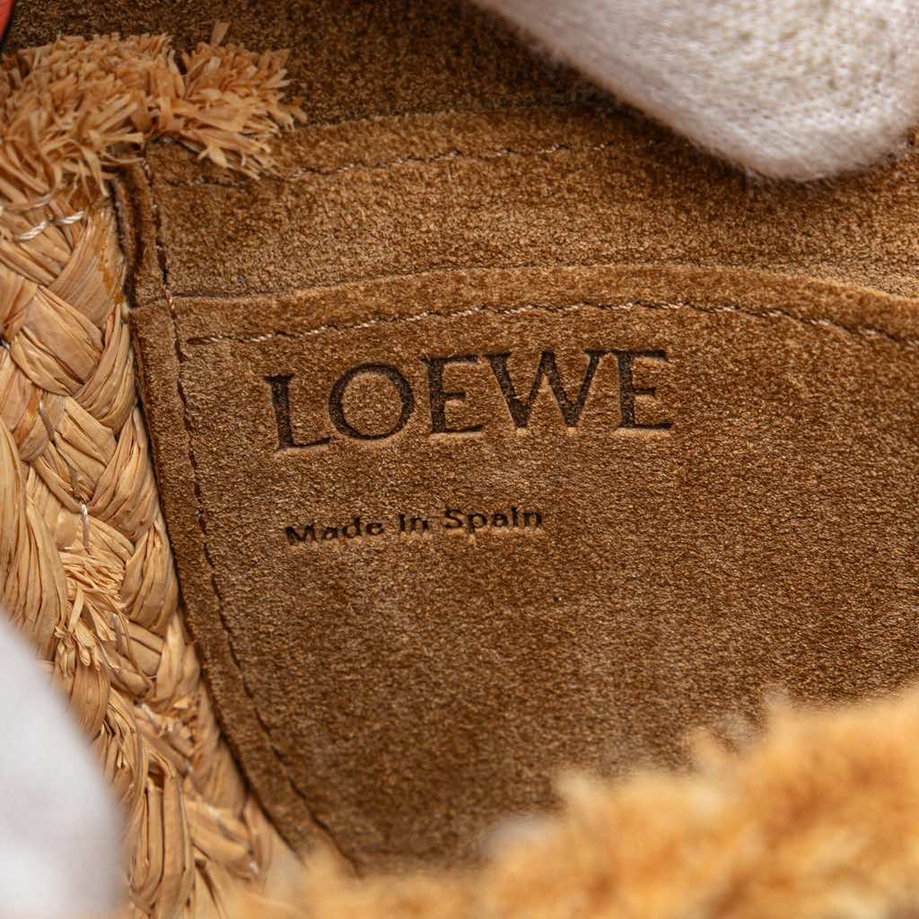 Loewe Mini Raffia Gate Crossbody - Side view