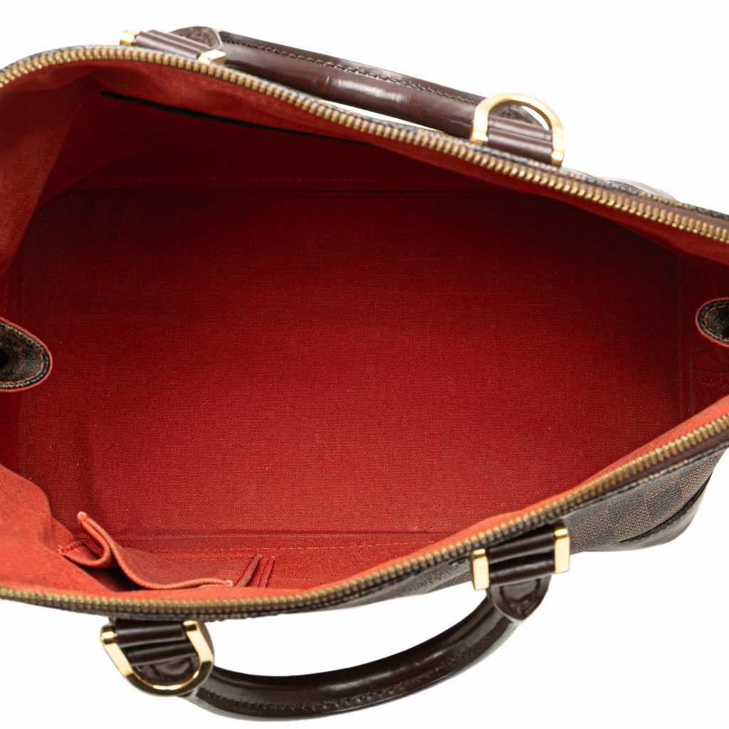 Louis Vuitton Damier Ebene Alma MM - 4