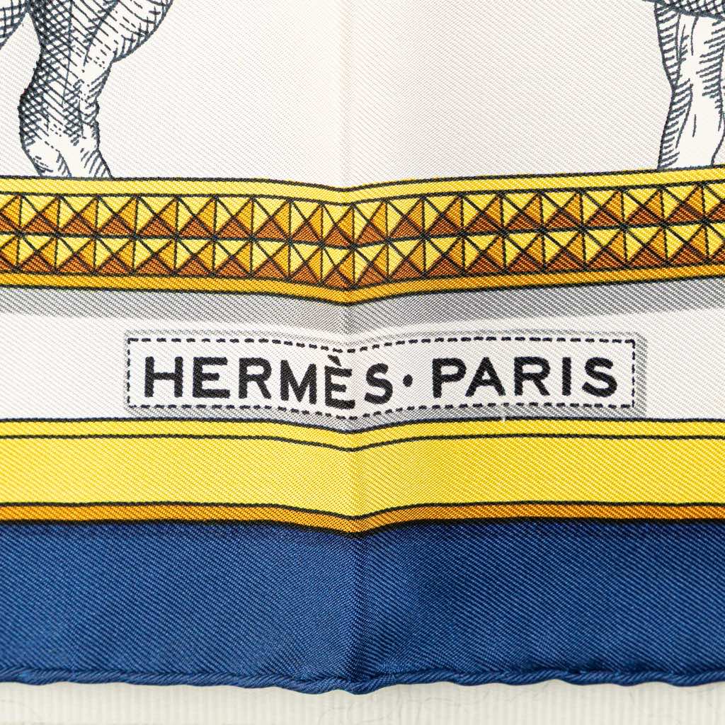 Hermès Grand Apparat Silk Scarf - 4