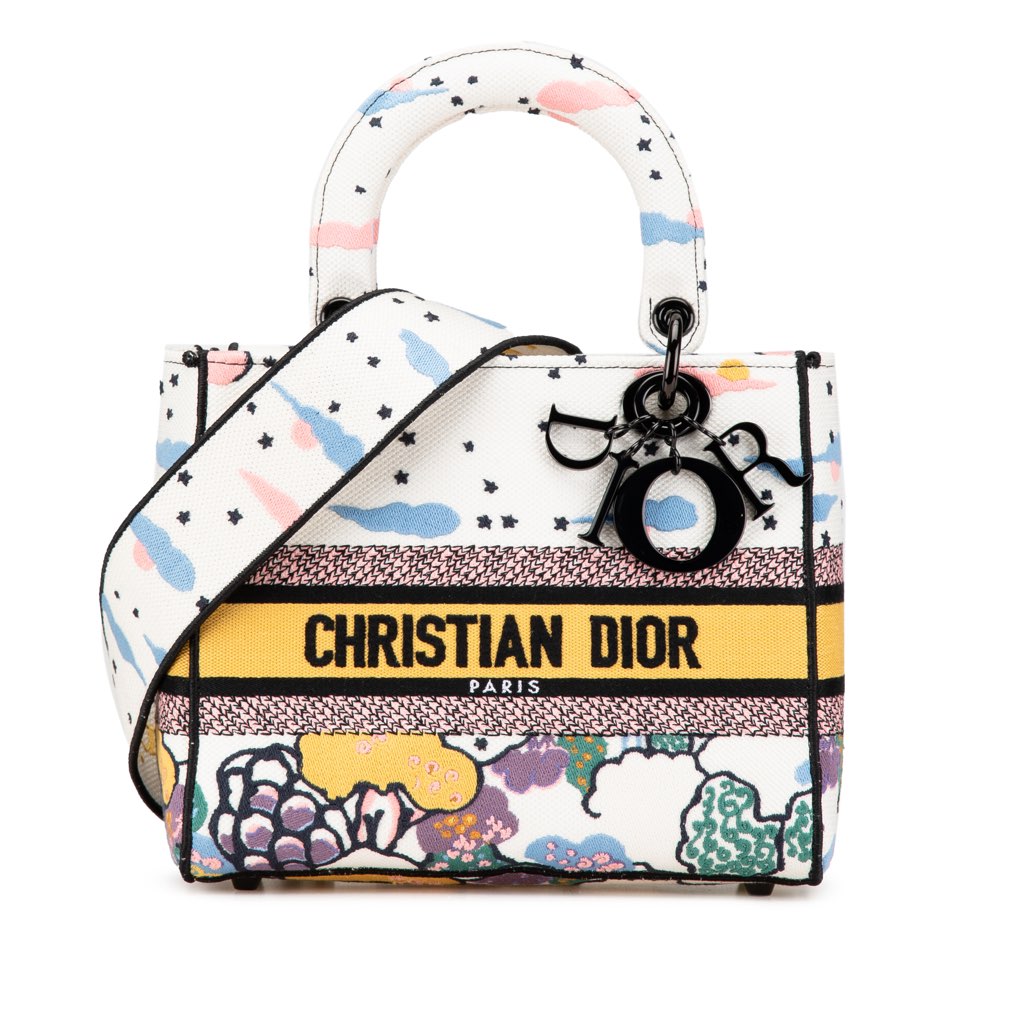 Dior Medium Canvas Embroidered Ciel De Reve Lady D Lite