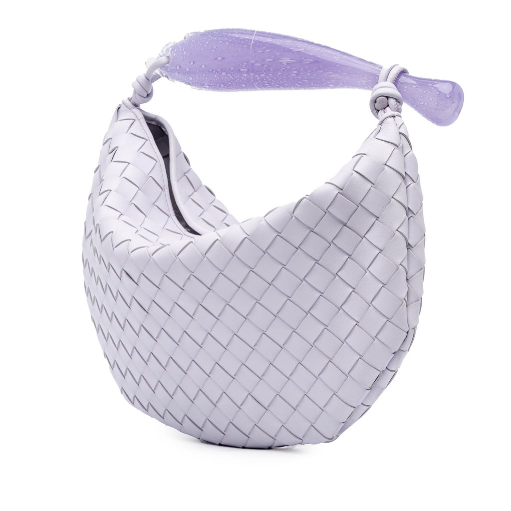 Bottega Veneta Limited Edition Murano Glass Lambskin Intrecciato Sardine - Back view