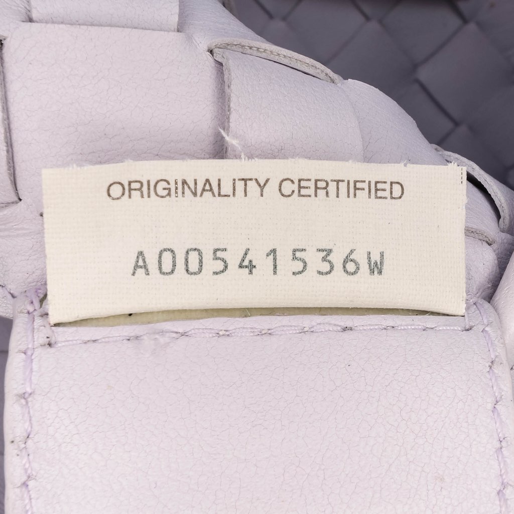 Bottega Veneta Limited Edition Murano Glass Lambskin Intrecciato Sardine - Detail 1