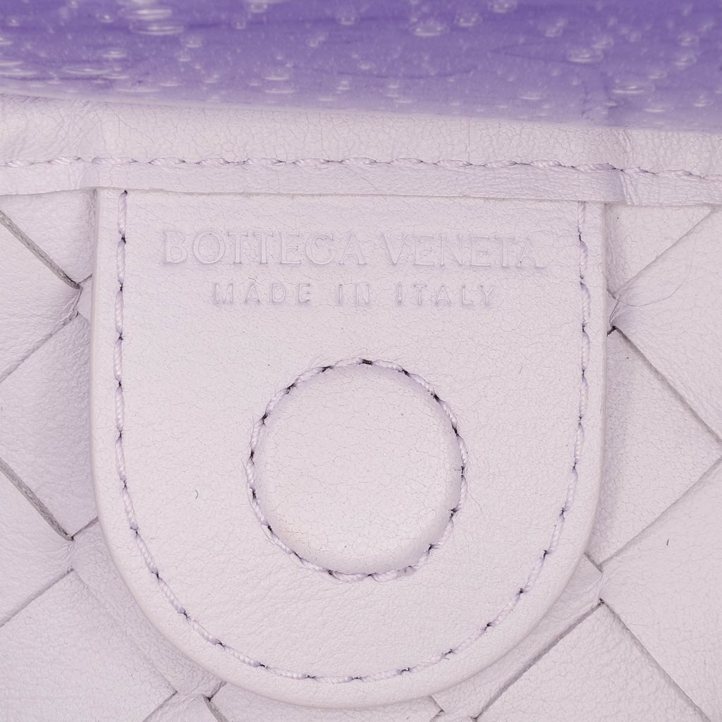 Bottega Veneta Limited Edition Murano Glass Lambskin Intrecciato Sardine - Detail 2