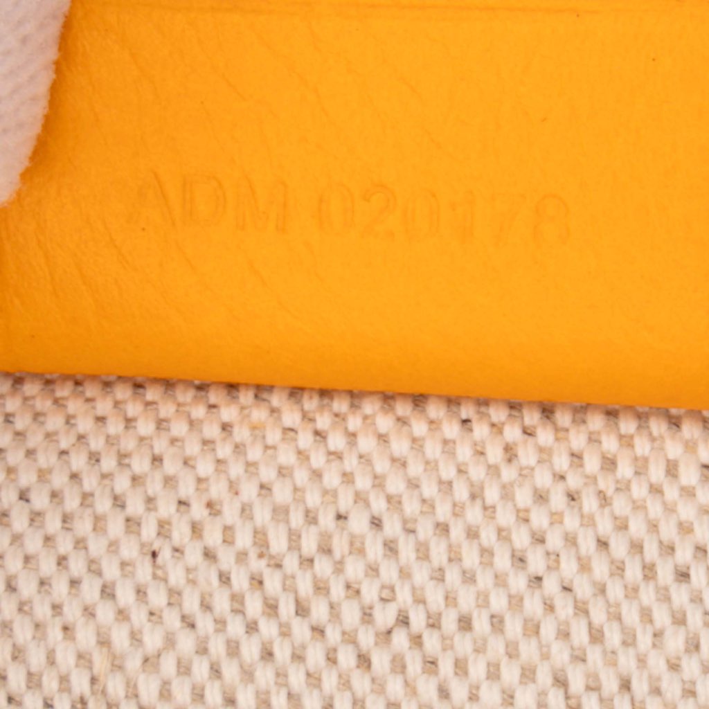 Goyard Goyardine Poitiers Claire Voie - Detail 1