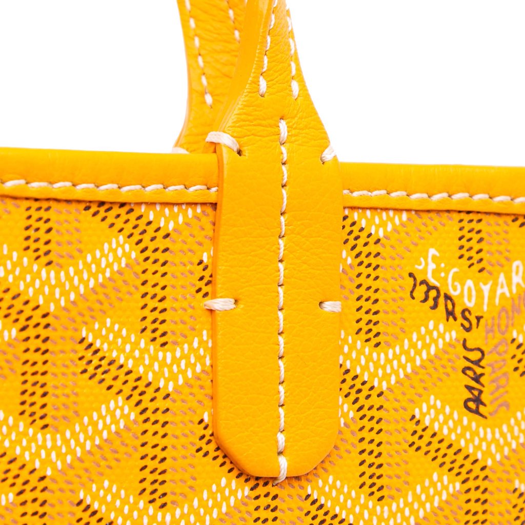 Goyard Goyardine Poitiers Claire Voie - Detail 2