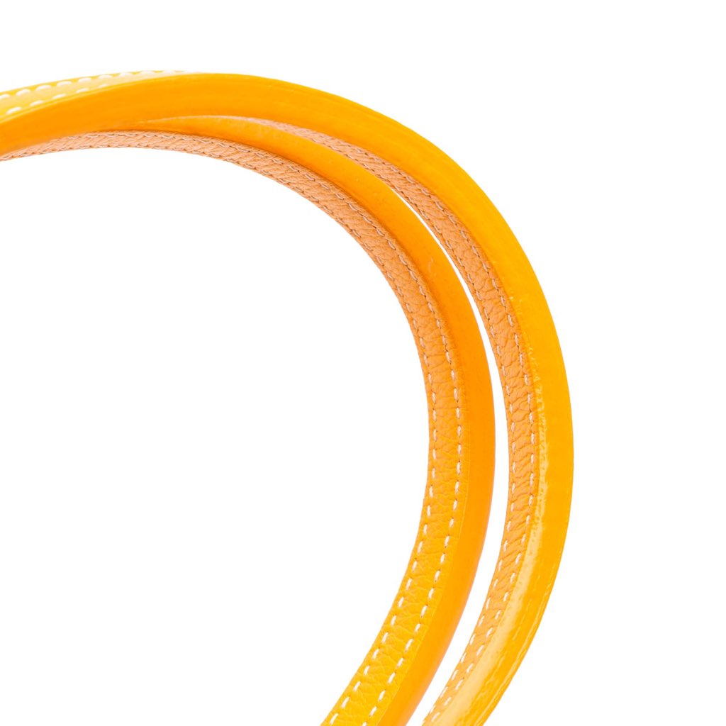 Goyard Goyardine Poitiers Claire Voie - Image 11