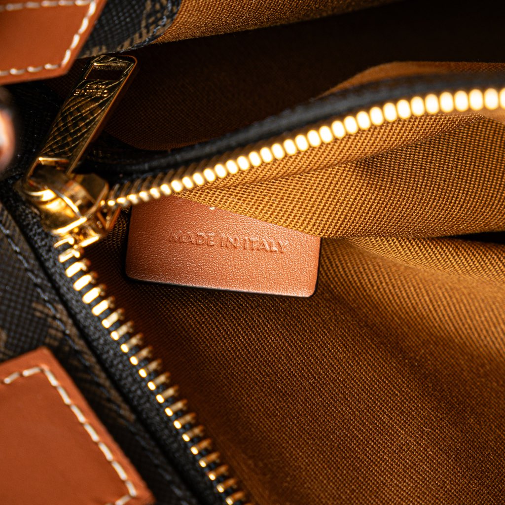 Celine Small Triomphe Coated Canvas Vertical Cabas Tote - Detail 1