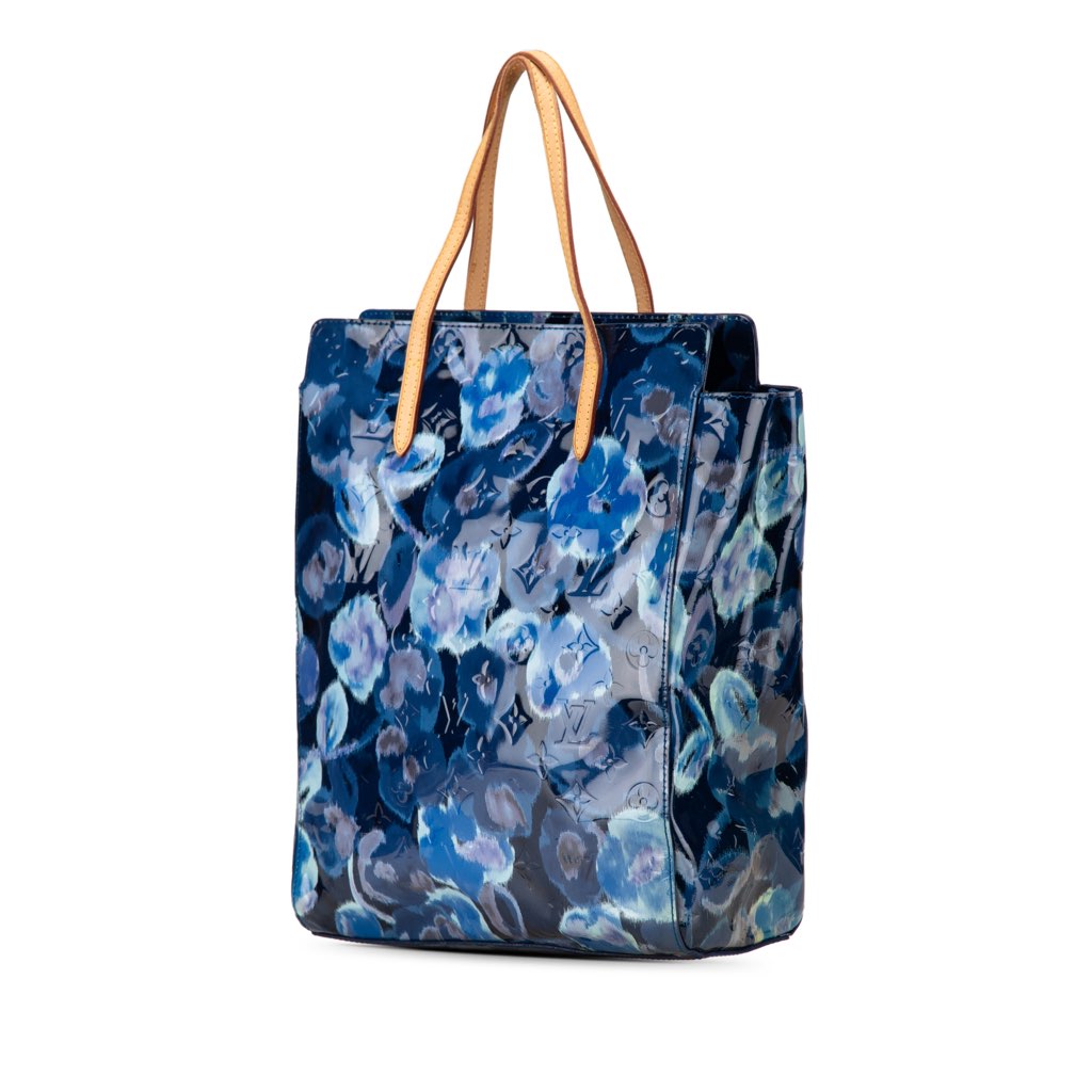 Louis Vuitton Monogram Vernis Ikat Catalina - 2