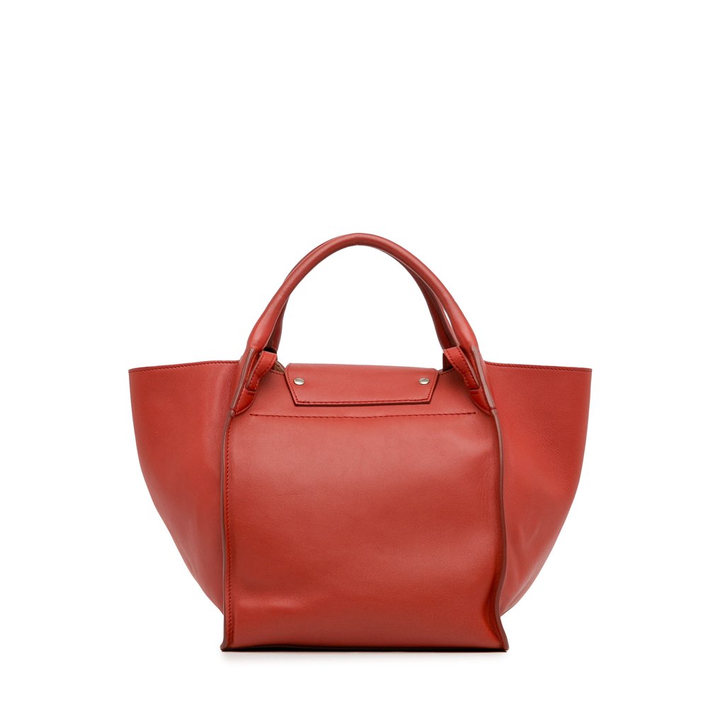 Celine Small Big Bag - 4
