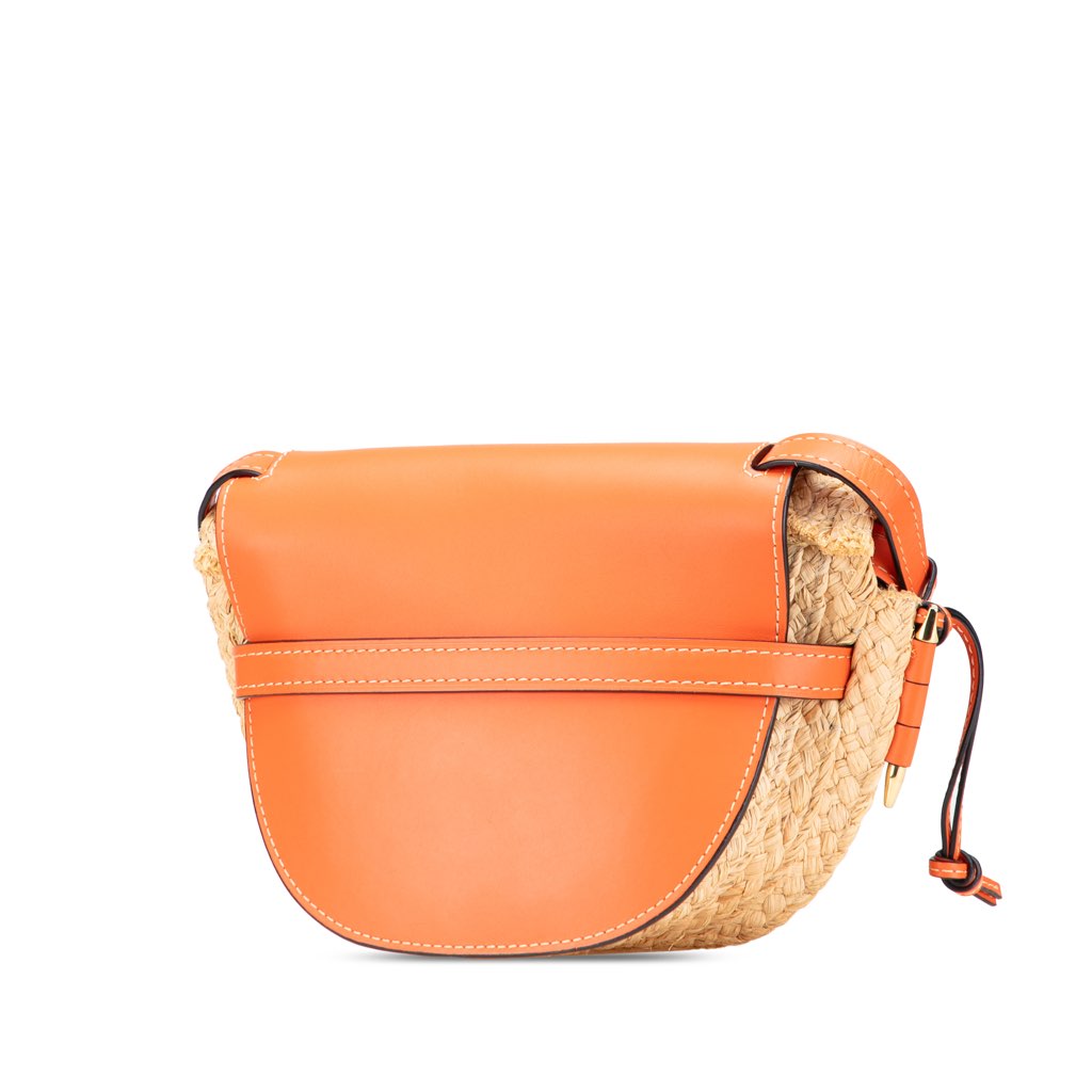 Loewe Small Raffia Gate Crossbody - Back view