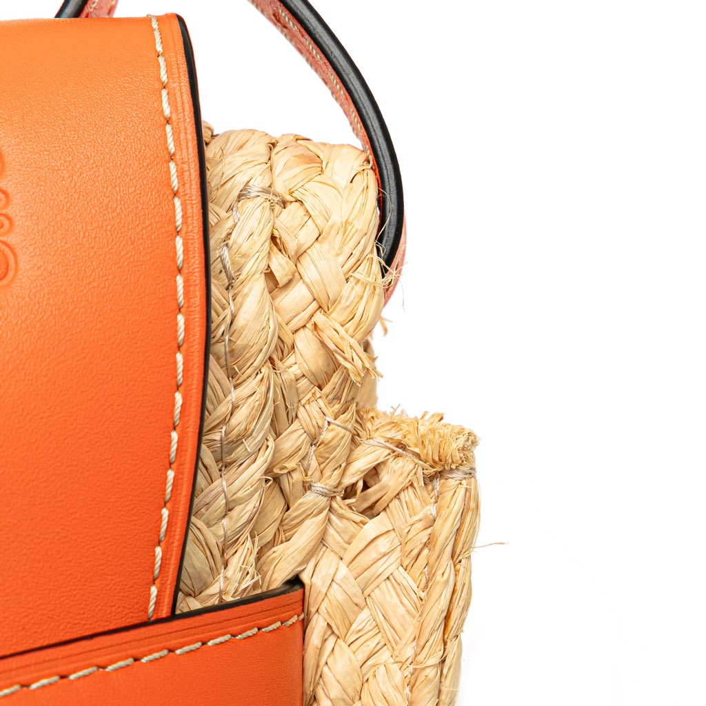 Loewe Small Raffia Gate Crossbody - Image 10