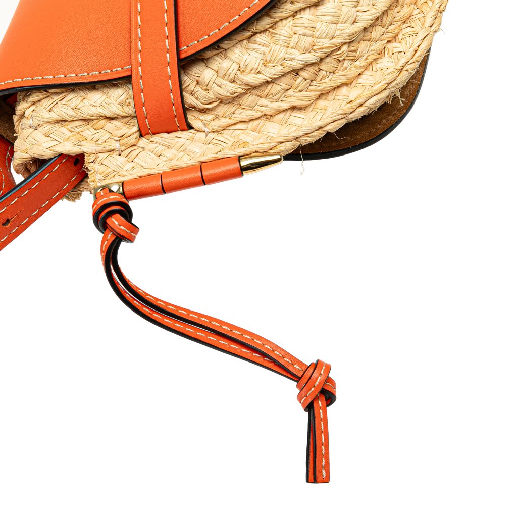 Loewe Small Raffia Gate Crossbody - Image 11