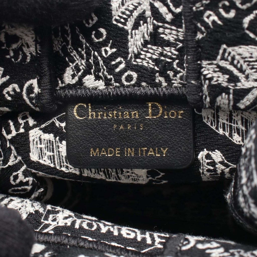 Dior Mini Plan de Paris Logo Embroidered Canvas Vertical Book Tote - 4