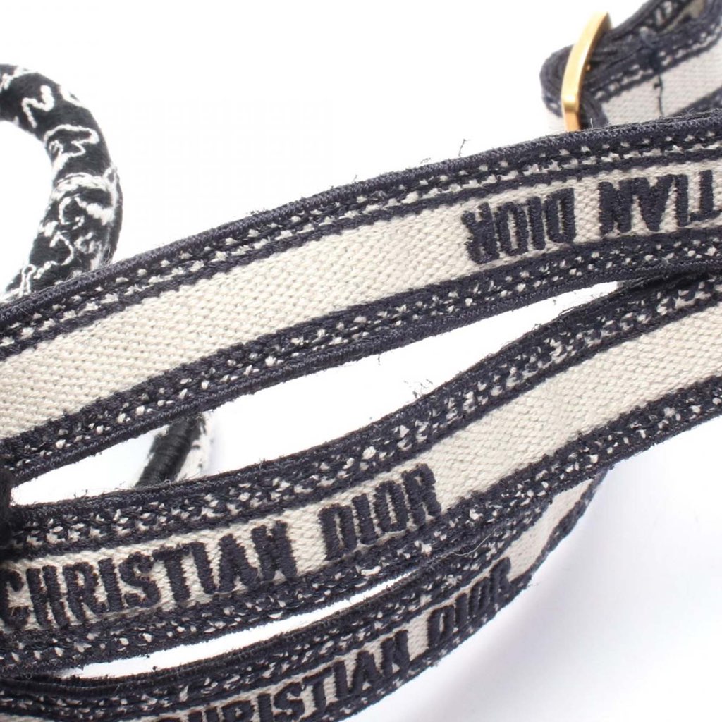 Dior Mini Plan de Paris Logo Embroidered Canvas Vertical Book Tote - 5